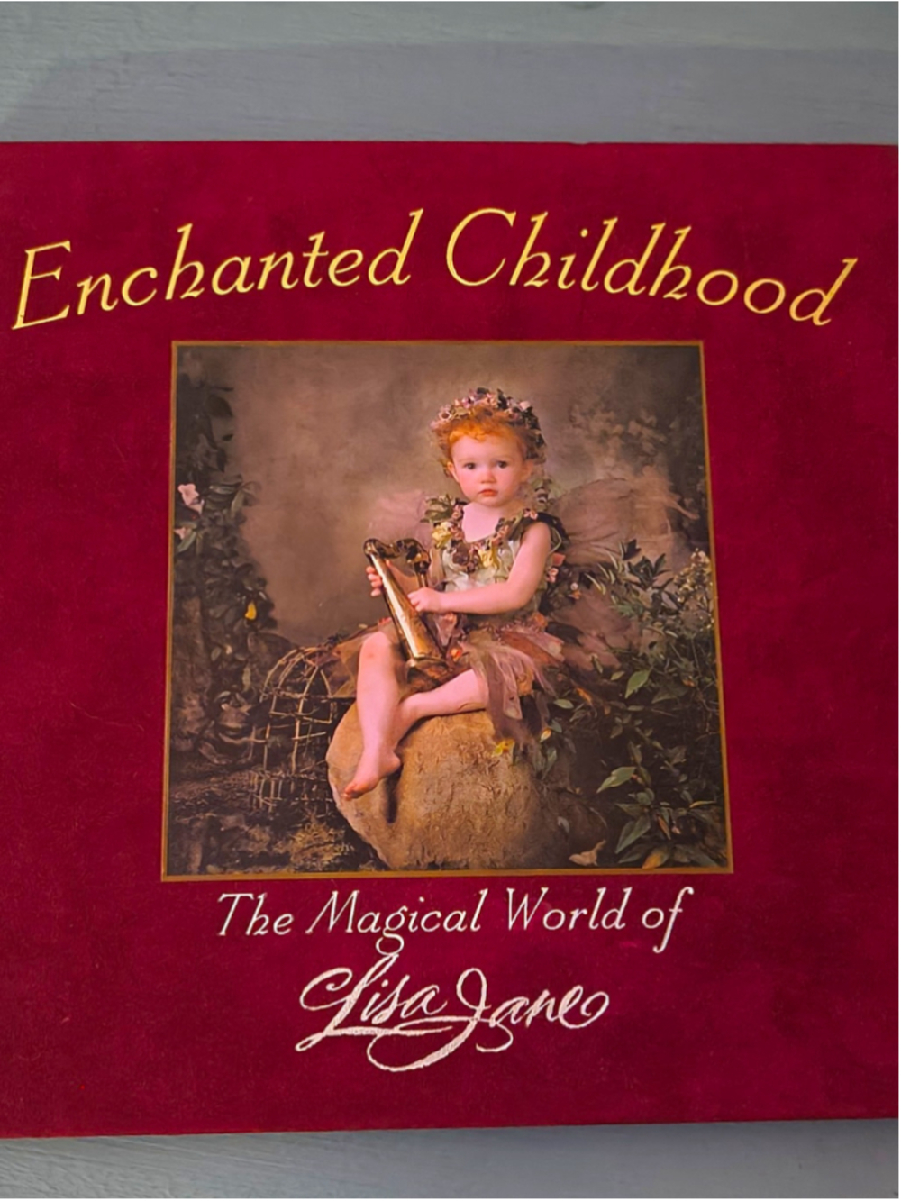 Enchanted Childhood Magical World of Lisa Jane HC Illustrated 1st 1999